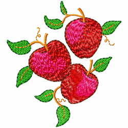 Apple Embroidery Design 4